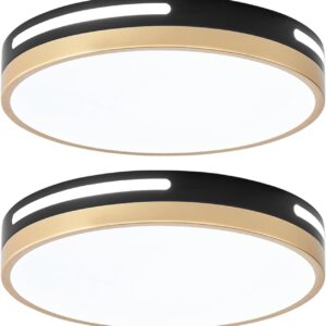 Wheatronic. Lámpara de techo LED de montaje empotrado negro y dorado, lámpara de cocina de 24 W, 2 unidades, 12 pulgadas, cerca de techo, 5CCT para dormitorio, baño, sala de estar.