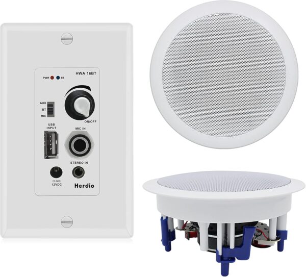 Paquete de Audio hogar, con Control de Montaje en Pared, Sistema Receptor de Amplificador con 300 W en Pared, Techo, bocinas pasivas, perfectos para Cine en casa, Oficina, baño, Cocina.