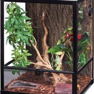 REPTI ZOO. Terrario de vidrio para reptiles, tanque de hábitat de reptiles derribado de 18 x 18 x 24 pulgadas con puerta de doble bisagra y ventilación de pantalla superior y ventilación de malla.